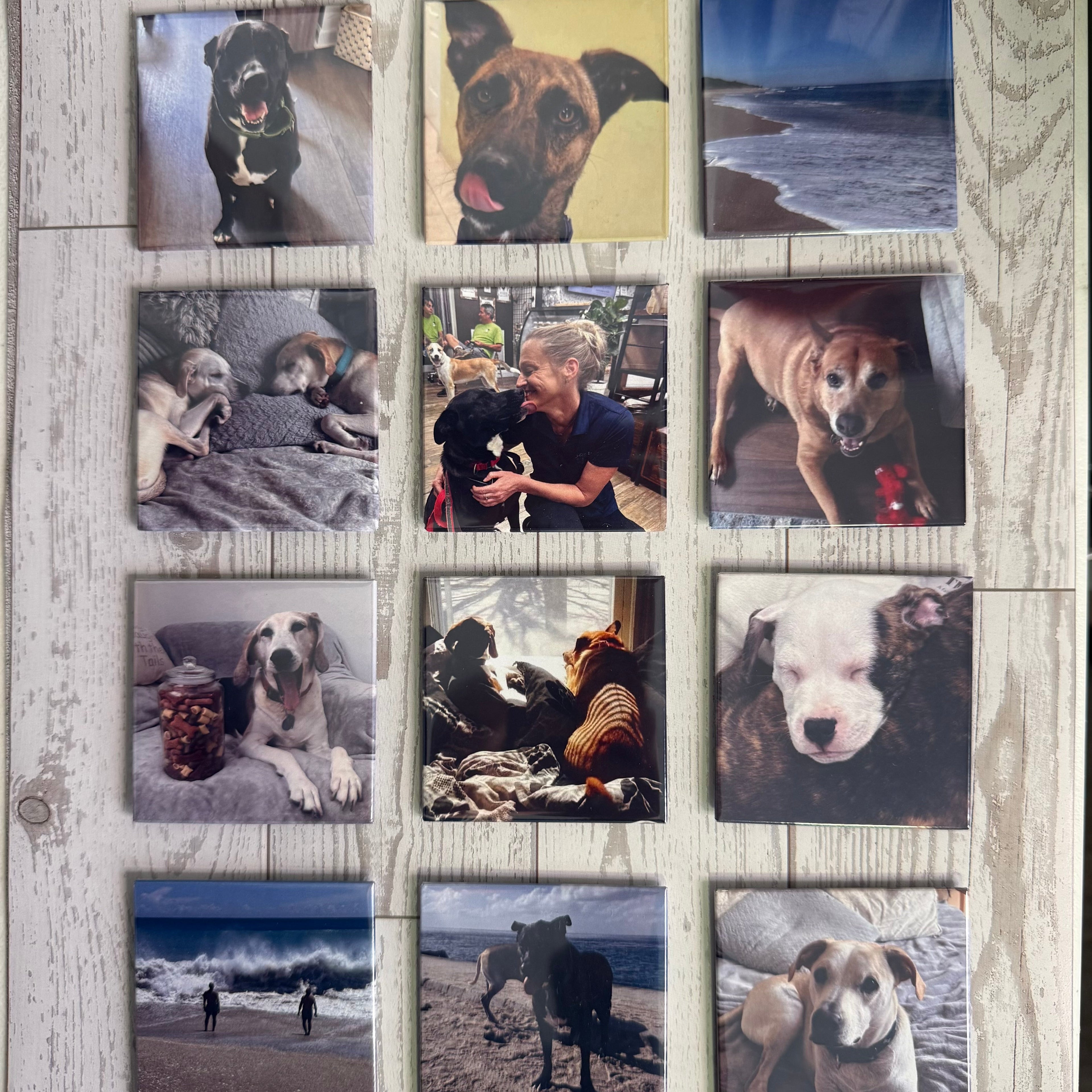 Custom Photo Magnets | Starting at