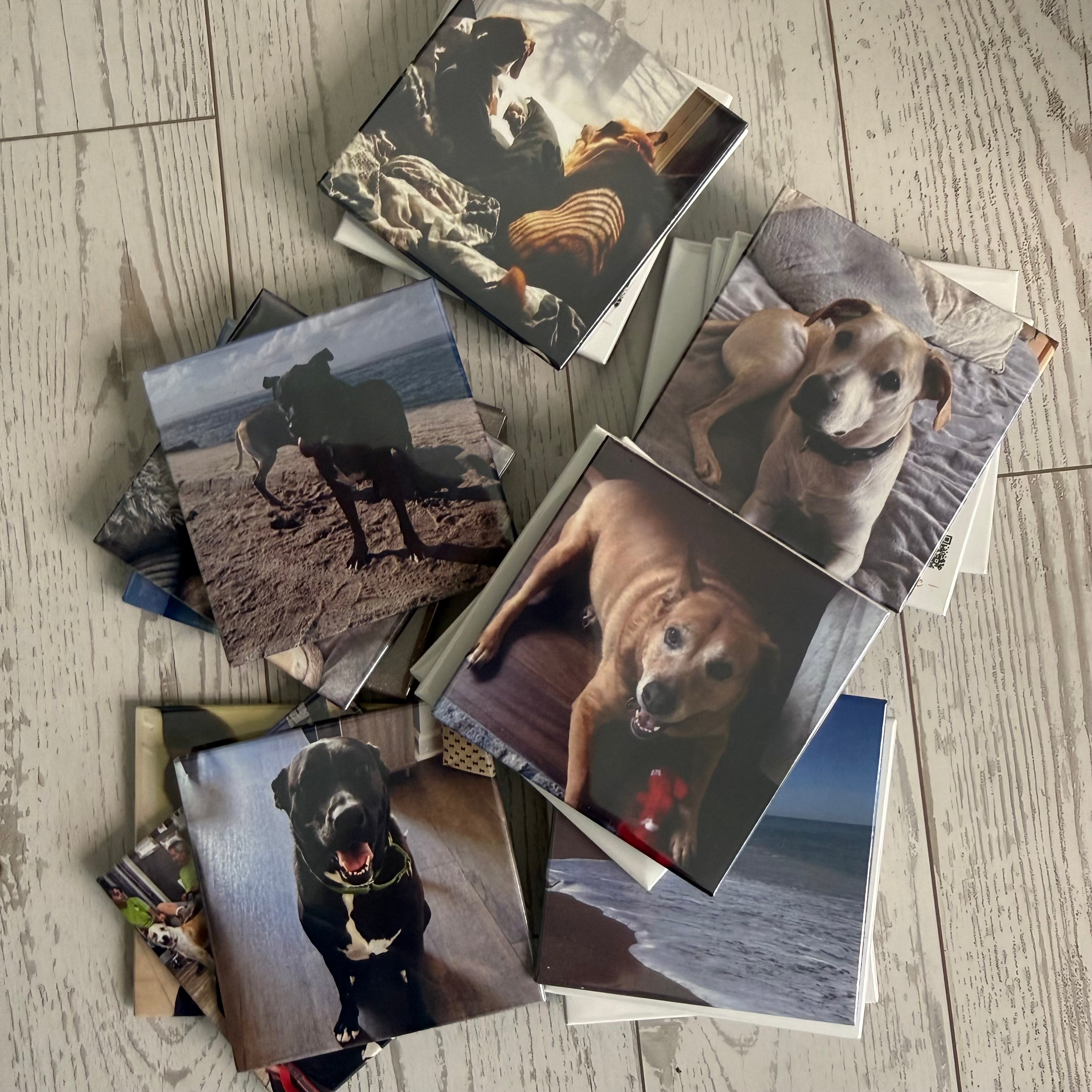 Custom Photo Magnets | Starting at